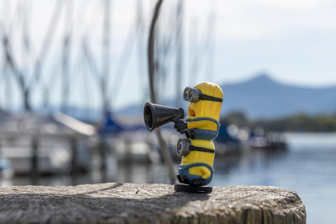 minion-6961629_1280_Thomas