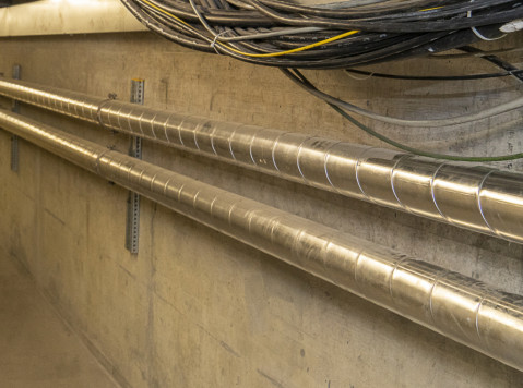 05_WZV_Erstklassig in vielen Disziplinen_WEB