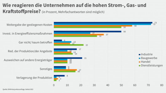 4_Reaktion Strom-  Gas- und Kraftstoffpreise_1920x1080 px_Zeichenflache 1