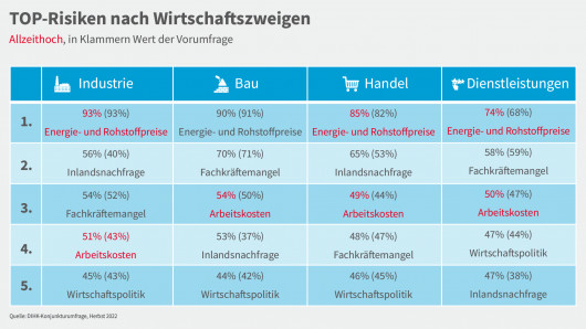 6_TOP-Risiken Wirtschaftszweige_1920x1080 px_Zeichenflache 1
