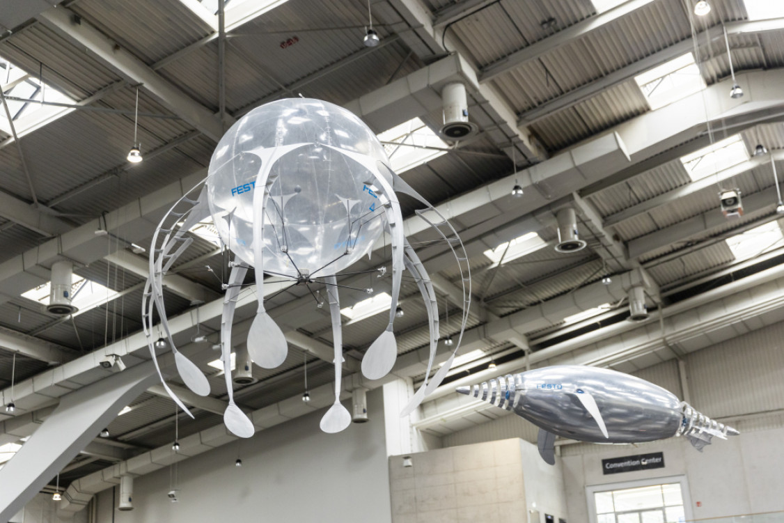 HM22_H07_28_1576770.original_WEB