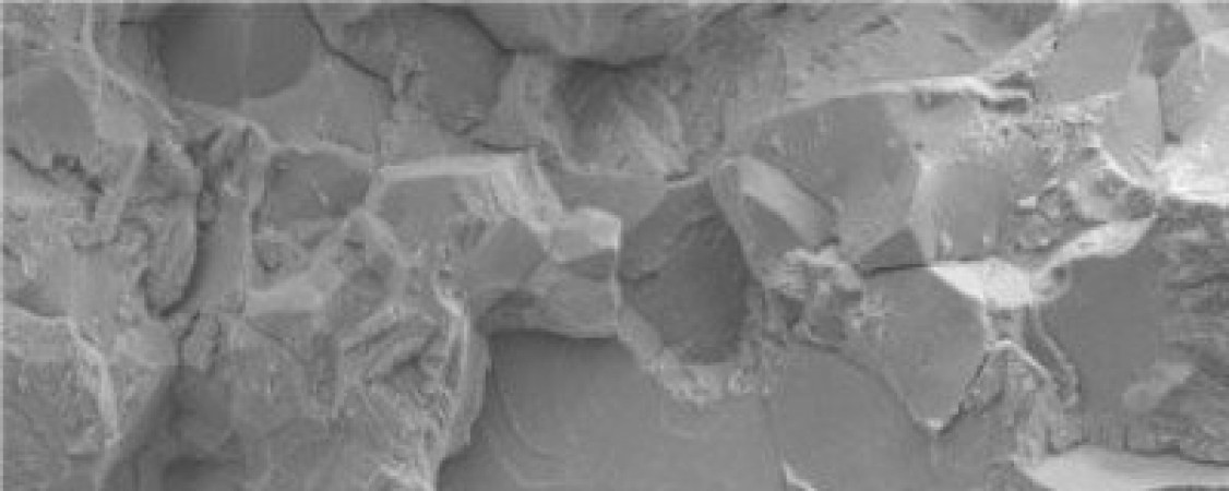 53be76fa-2207-49f1-9c9d-56ba28aeaa3c-oar-md