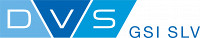 DVS_GSI_SLV_RGB