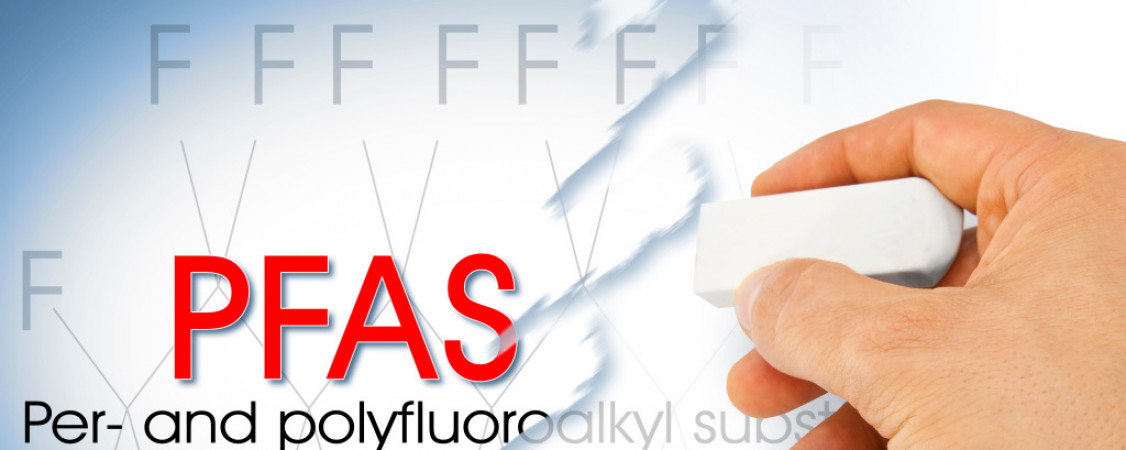 AdobeStock_603052848_ Francesco Scatena_WEB