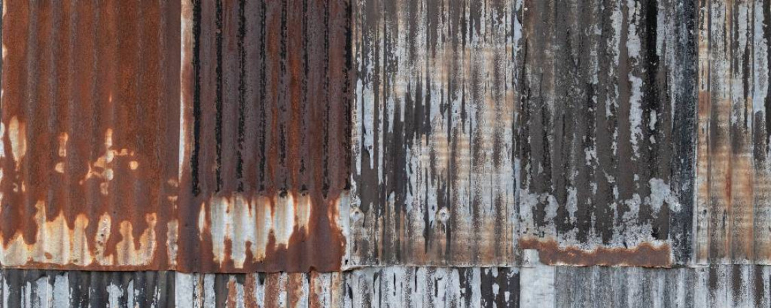 000_pexels-james-frid-6673022_Foto von James Frid_WEB