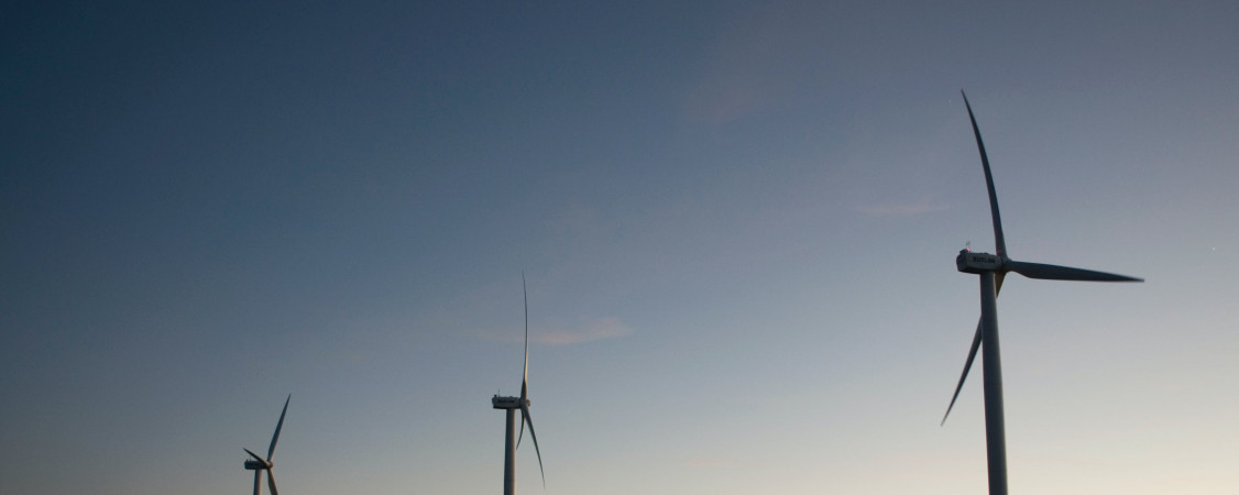 pexels-marshall-reyher-97368_Foto von Marshall Reyher