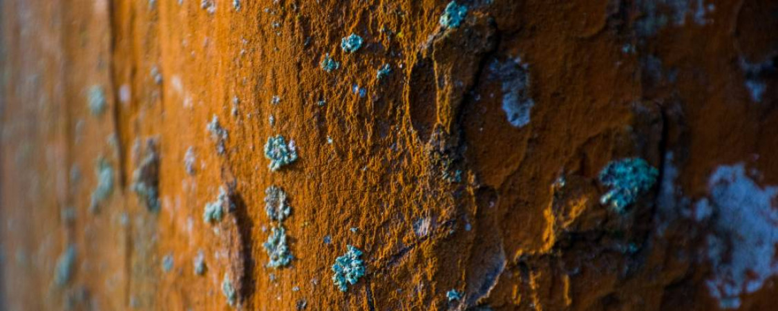 pexels-philip-ackermann-878167_Foto von Philip Ackermann_WEB