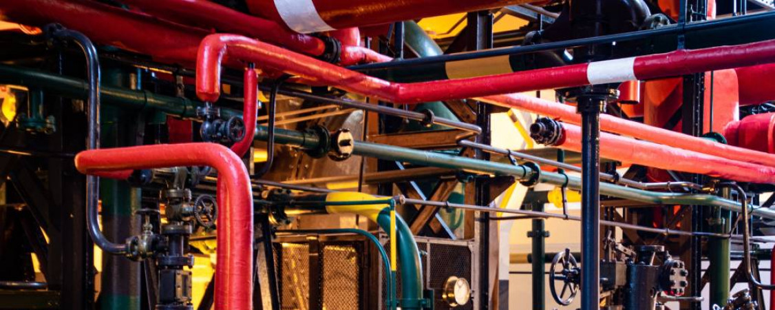 pexels-magda-ehlers-2569842_Foto von Magda Ehlers_WEB