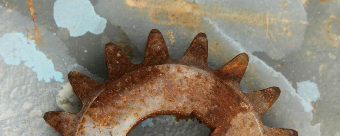 0000_pexels-laker-6156589_WEB