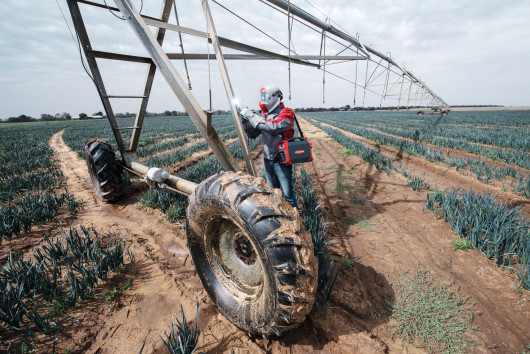 pw_press_tea_agricultural_technology_2_accupocket