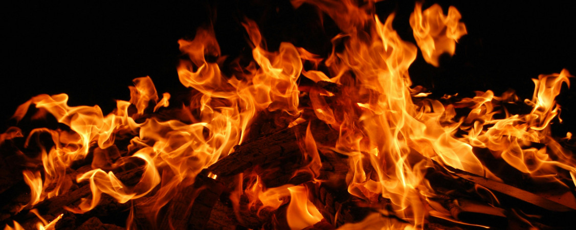 pexels-pixabay-270815_Foto von Pixabay