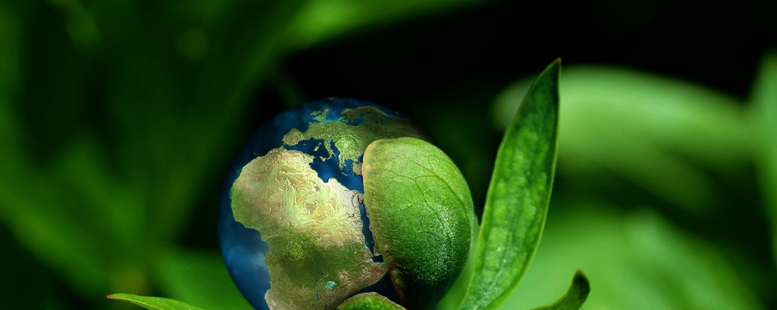 ecology-6513805_1280_Gerd Altmann