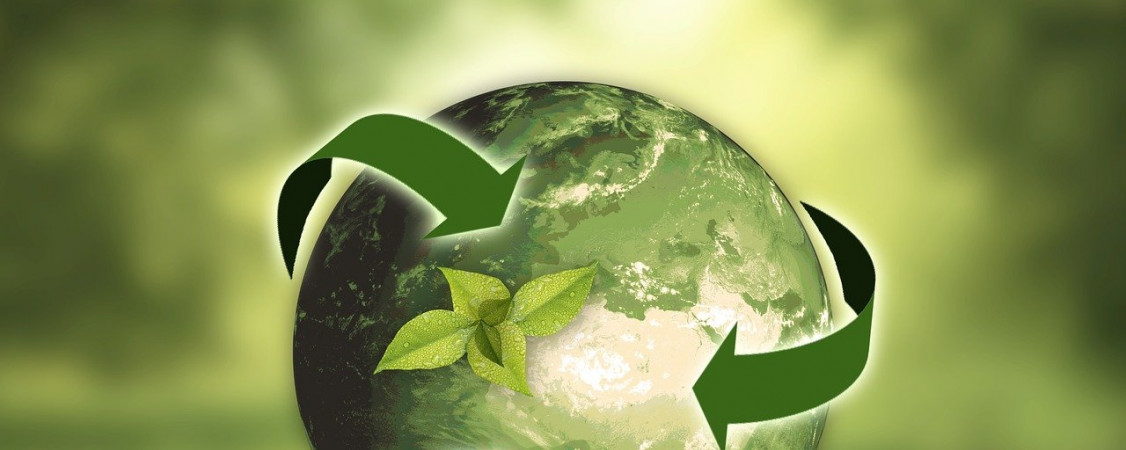 nature-3294632_1280_Annette