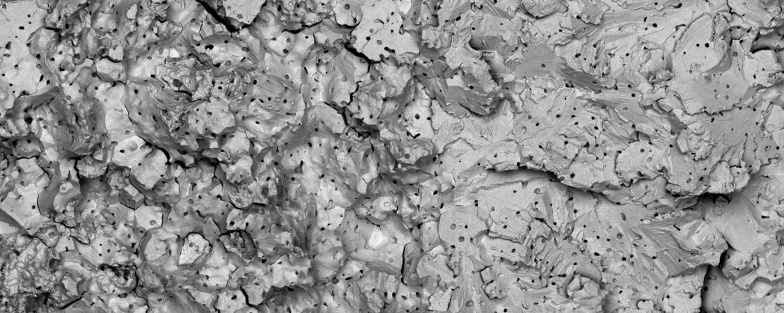 csm_Titel_Bild_7ffe8c2daf