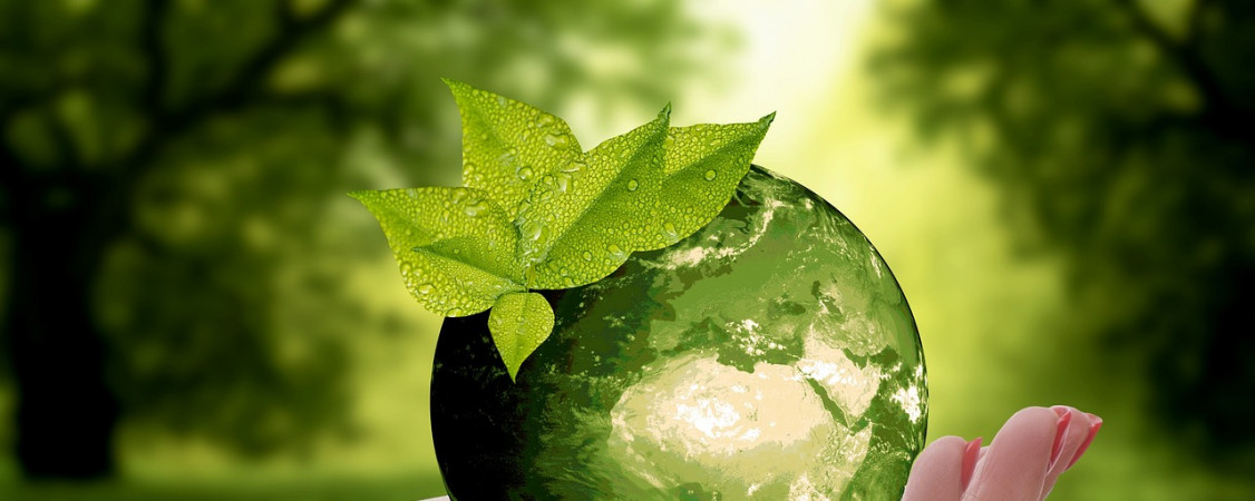 nature-3289812_1280_ Annette