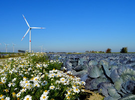 north-german-landscape-3751561_1280