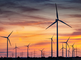 AdobeStock_Andreas Gruhl