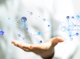 AdobeStock_vegefox.com