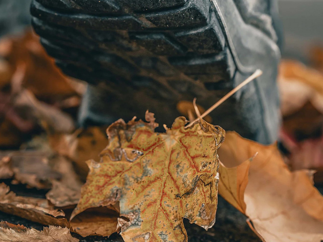 csm_0031486_910f74a94a