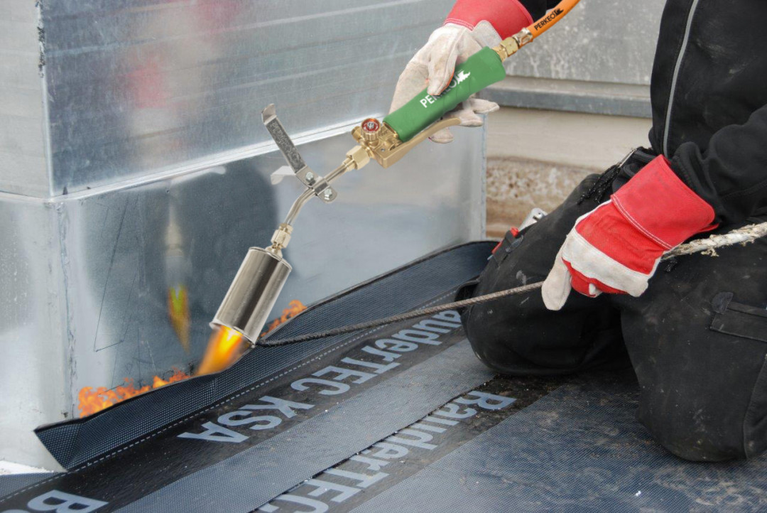 PERKEO-Titan-Hexe-Bild-1