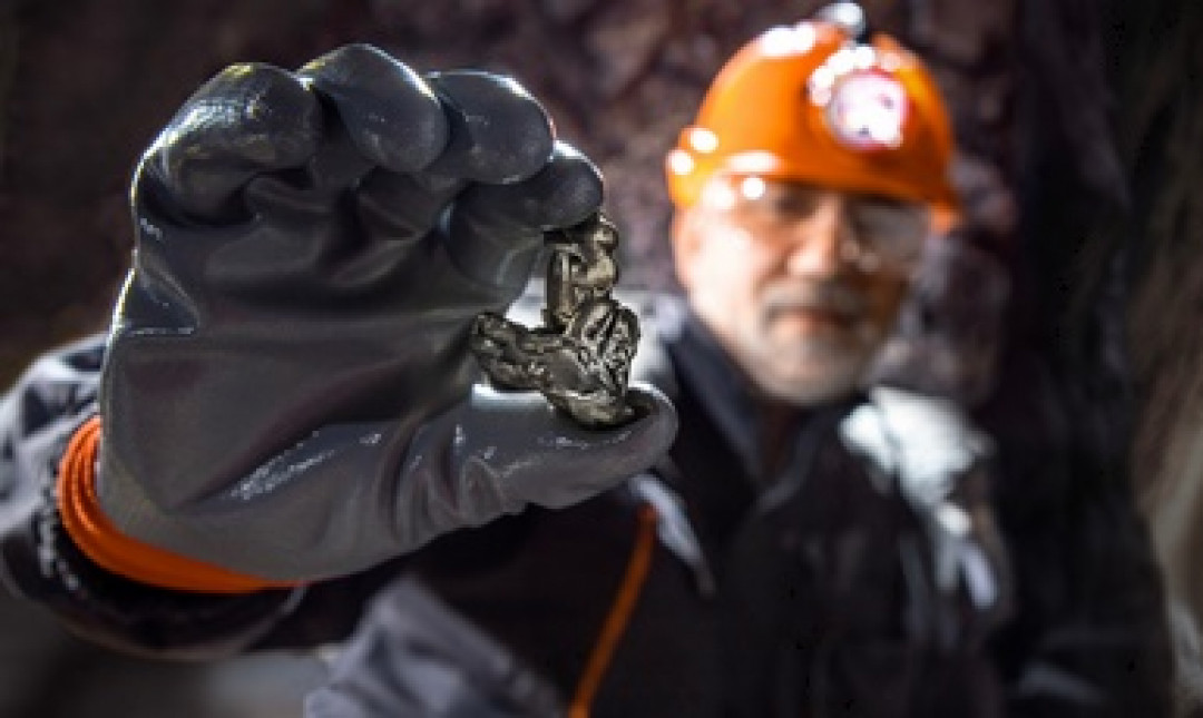 © TSViPhoto - stock.adobe.com