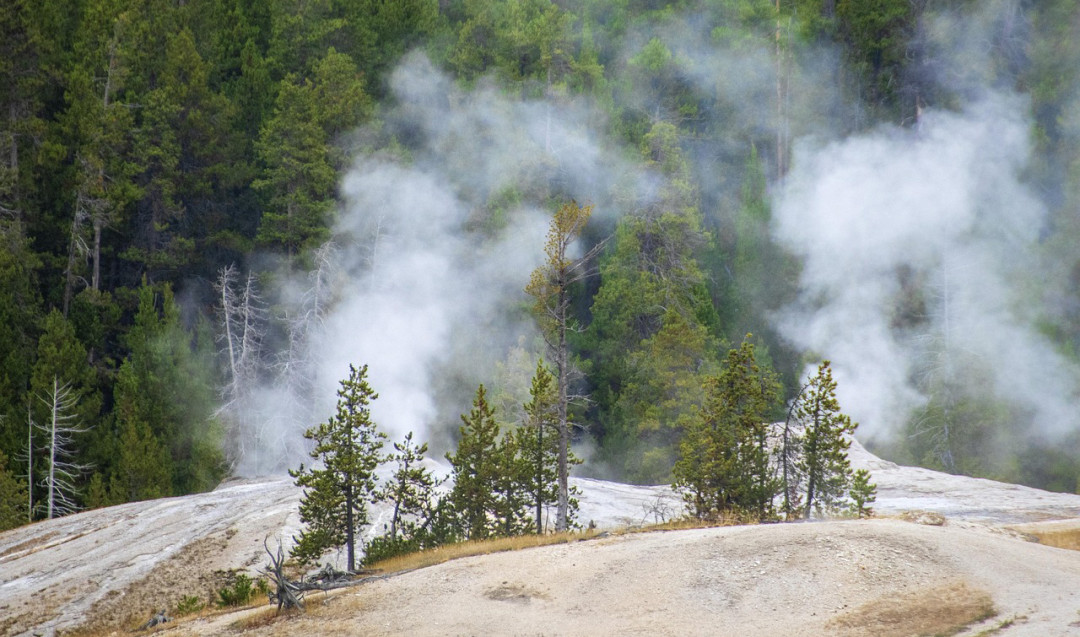 © pixabay / Clarence Alford;