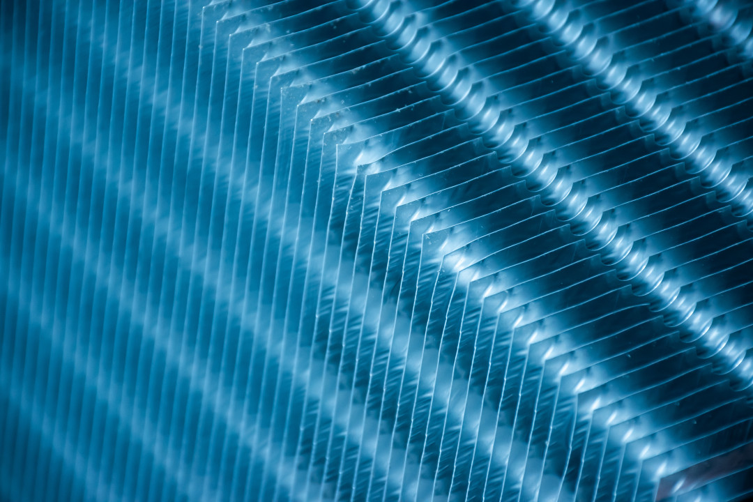 © stock.adobe.com/cattyphoto