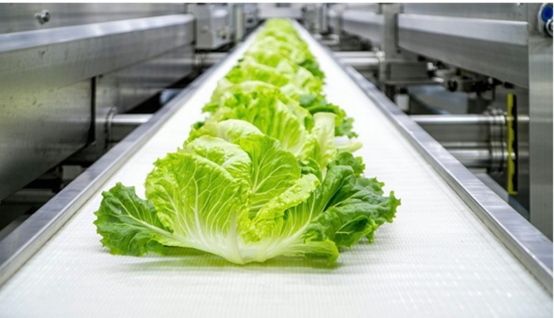 Clariant secures FDA approval for bio-based Licocare RBW additives in rigid PVC food-contact applications. - © Clariant