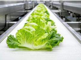 Clariant secures FDA approval for bio-based Licocare RBW additives in rigid PVC food-contact applications.