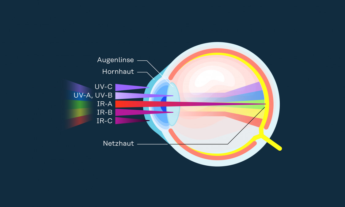 Tiefenwirkung von UV- und IR-Strahlung auf das menschliche  Auge - © Fronius International GmbH