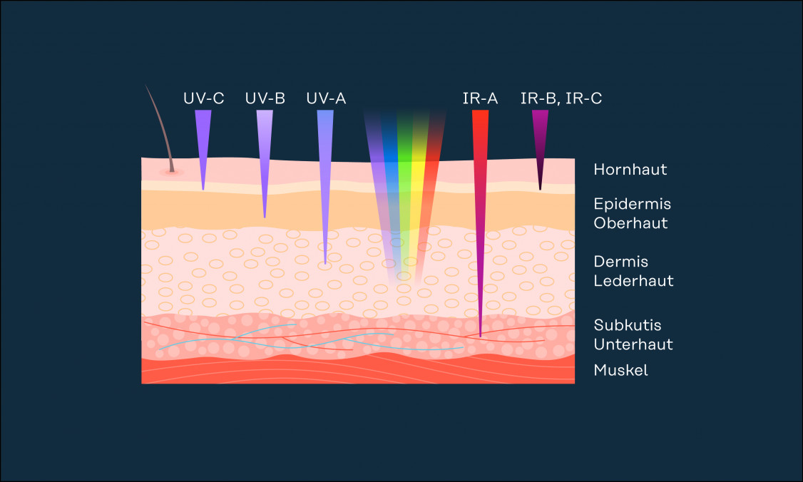 Tiefenwirkung von UV- und IR-Strahlung auf die Haut - © Fronius International GmbH