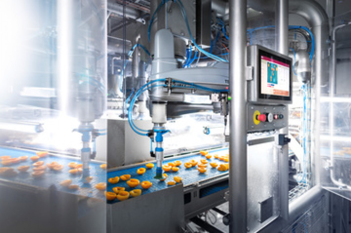 Ein 4-Achs-Roboter TS2-80 in HE-Ausführung übernimmt KI-gestützt das Aussortieren von Pfirsichhälften nach definierten Qualitätskriterien - © Stäubli Tec-Systems GmbH Robotics