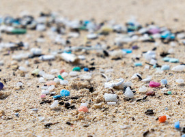 The SKZ Plastics Center supports companies in the plastics industry with targeted, practical training, implementation, and certification programs to help them comply with EU regulations on the use of microplastics and the release of plastic pellets.