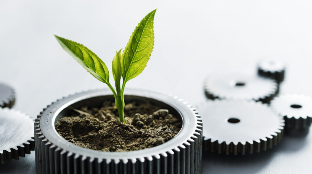 Nachhaltigkeit-Quelle-GettyImages-Ivan-Bjic-scaled_edited