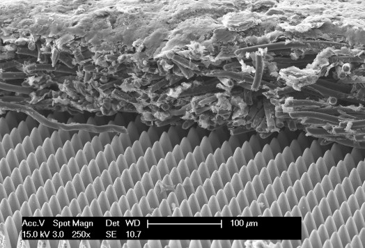 nachbericht-lkh2-2021-6-gastransportschicht-auf-stahl