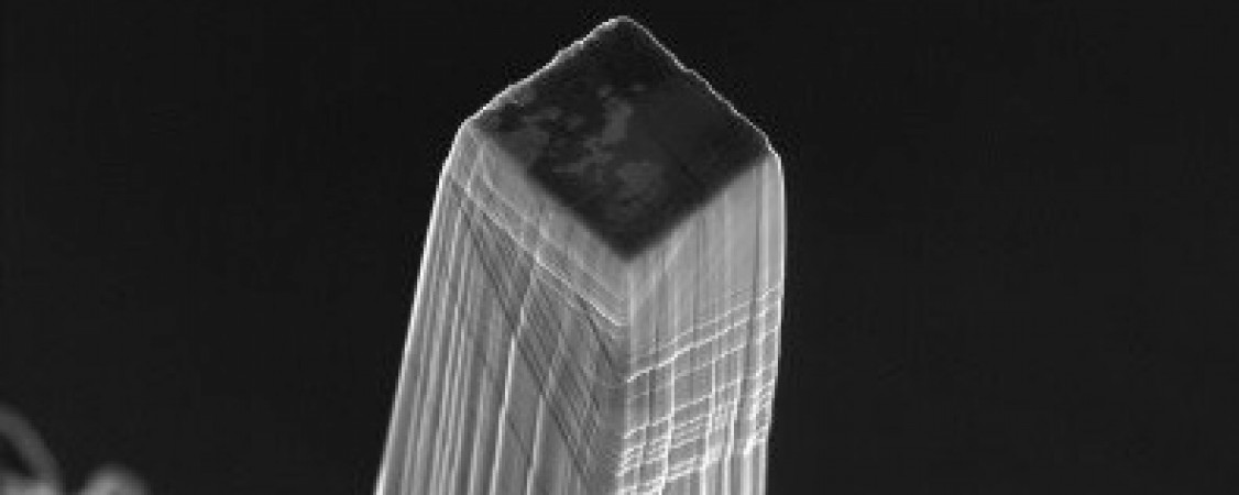 6ed2a070-fe63-46cb-9222-fcadcbb3af88-oar-md_edited