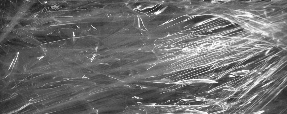 foil-967256_1280_ Monsterkoi